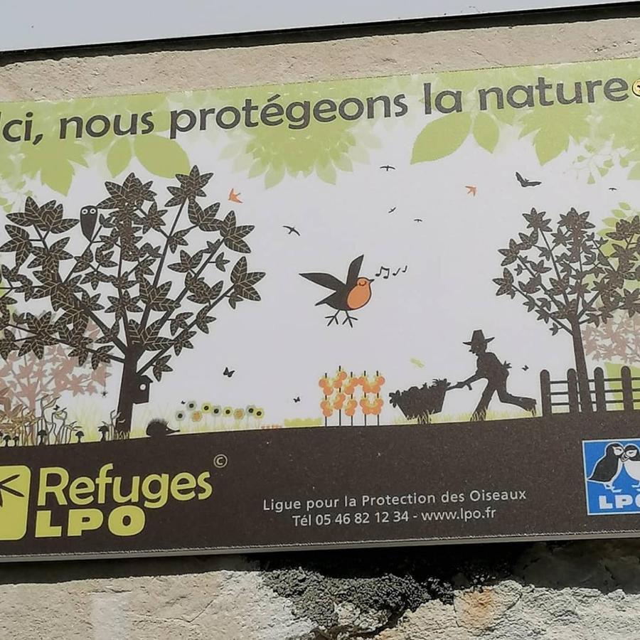 Trainefeuilles - Chambres D'Hotes Proche Zoo De Beauval Le Controis-en-Sologne Ngoại thất bức ảnh