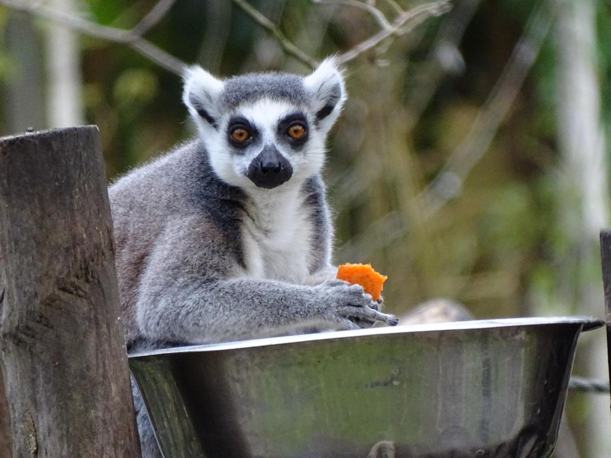 Trainefeuilles - Chambres D'Hotes Proche Zoo De Beauval Le Controis-en-Sologne Ngoại thất bức ảnh